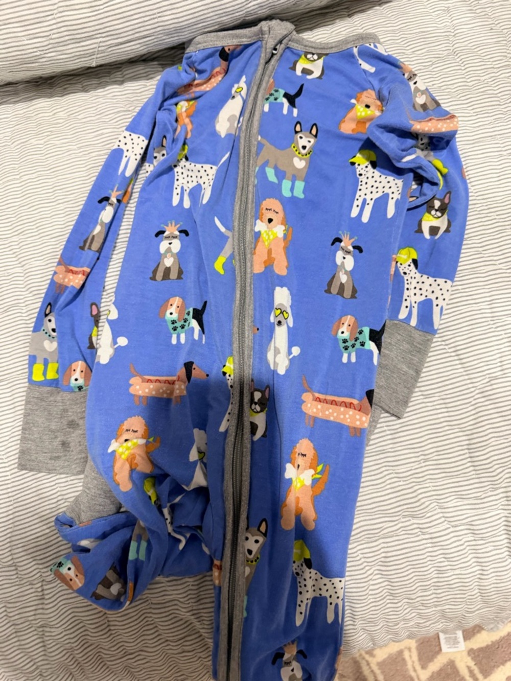 Little Sleepies Blue Dog Print Zippered Pajamas